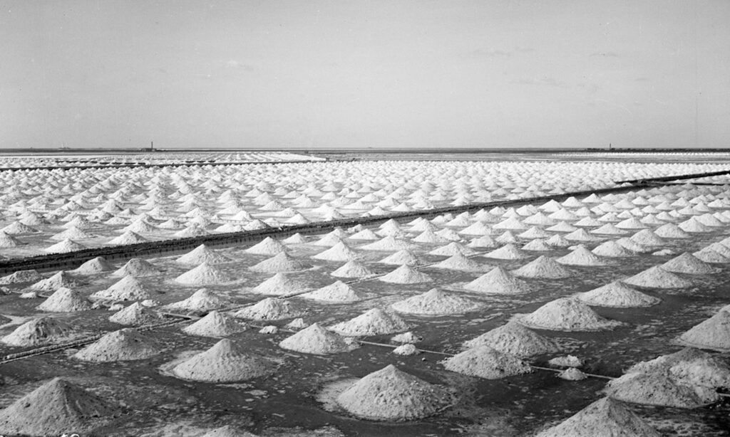 Himalayan salt history