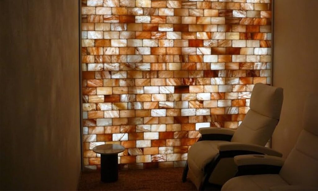 Wholesale Himalayan Salt Bricks for Spa Walls